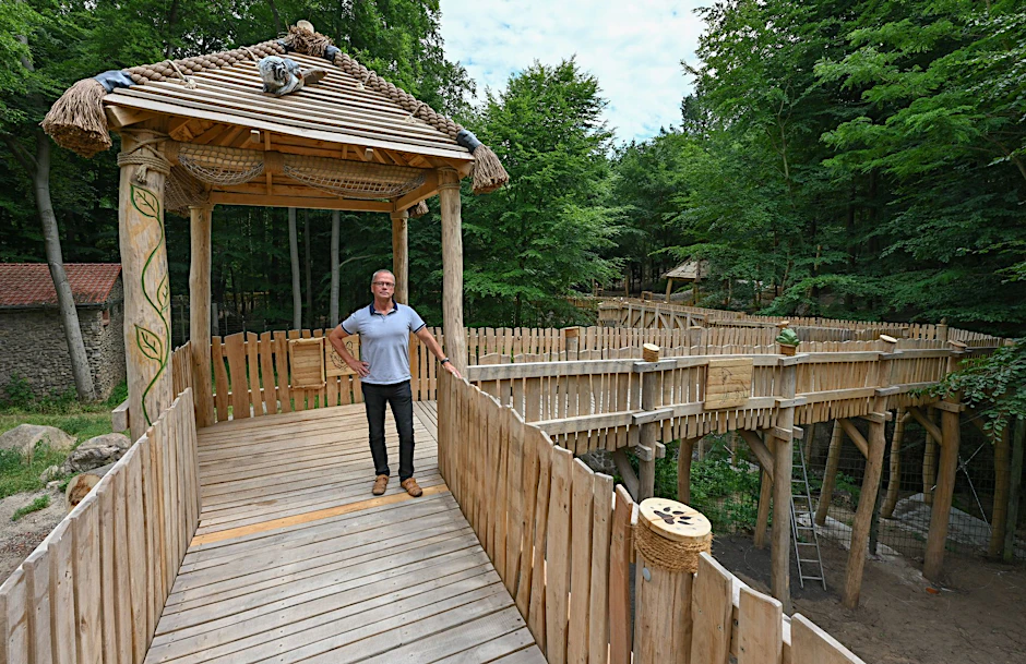 ARCHIV - Bernd Hensch, Direktor vom Zoo Eberswalde, steht auf dem hölzernen Erlebnispfad.  /Archivbild