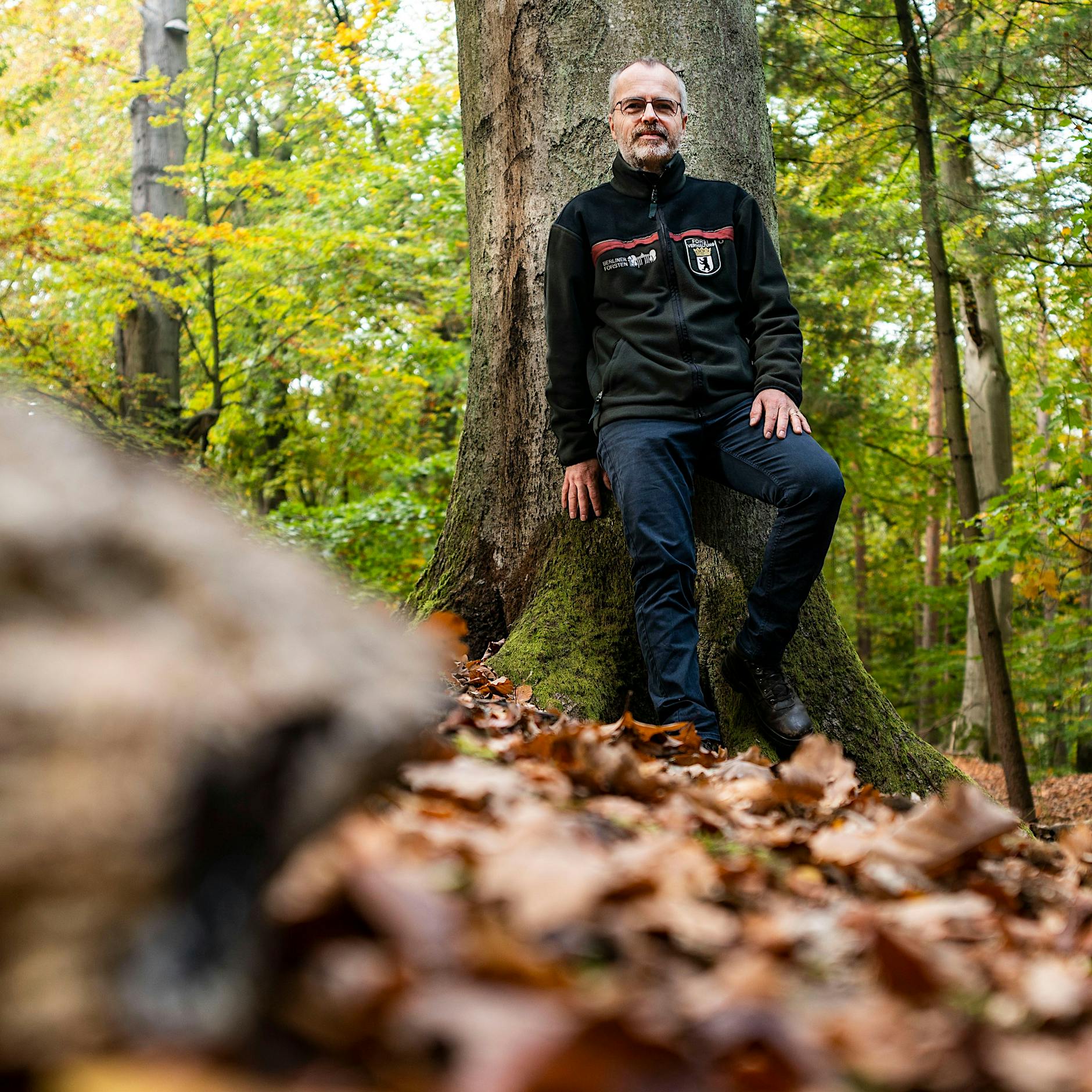 Klimawandel: Der Lieblingsbaum von Förster Franusch stirbt