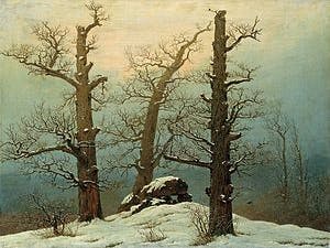 Die verstümmelten Eichen auf dem Hünengrab malte Caspar David Friedrich im Jahr 1807. Sie sind Opfer der „Holznoth“: Man sägte die Äste ab, verfütterte das Laub, nutzte das Holz zum Heizen. „Bäume abernten“, nannten das die Leute.