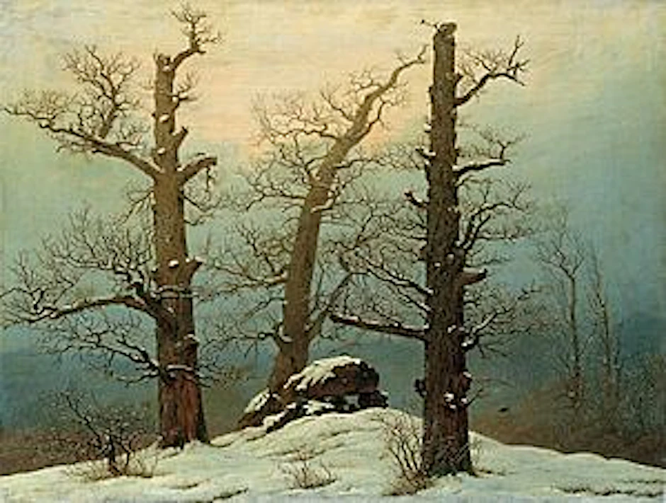 Die verstümmelten Eichen auf dem Hünengrab malte Caspar David Friedrich im Jahr 1807. Sie sind Opfer der „Holznoth“: Man sägte die Äste ab, verfütterte das Laub, nutzte das Holz zum Heizen. „Bäume abernten“, nannten das die Leute.