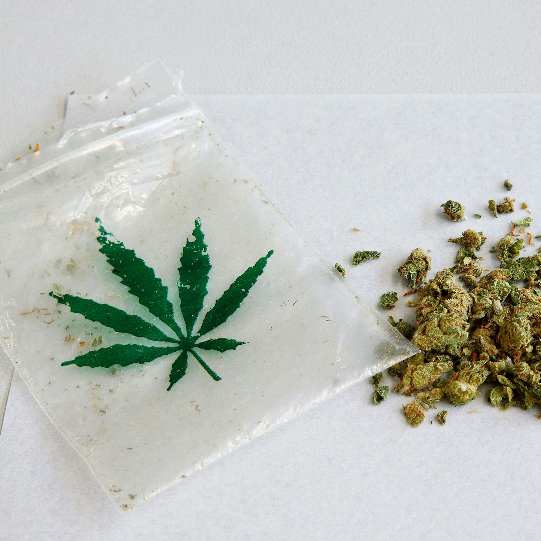 Kiffen wird straffrei: SO will die Bundesregierung Cannabis legalisieren!