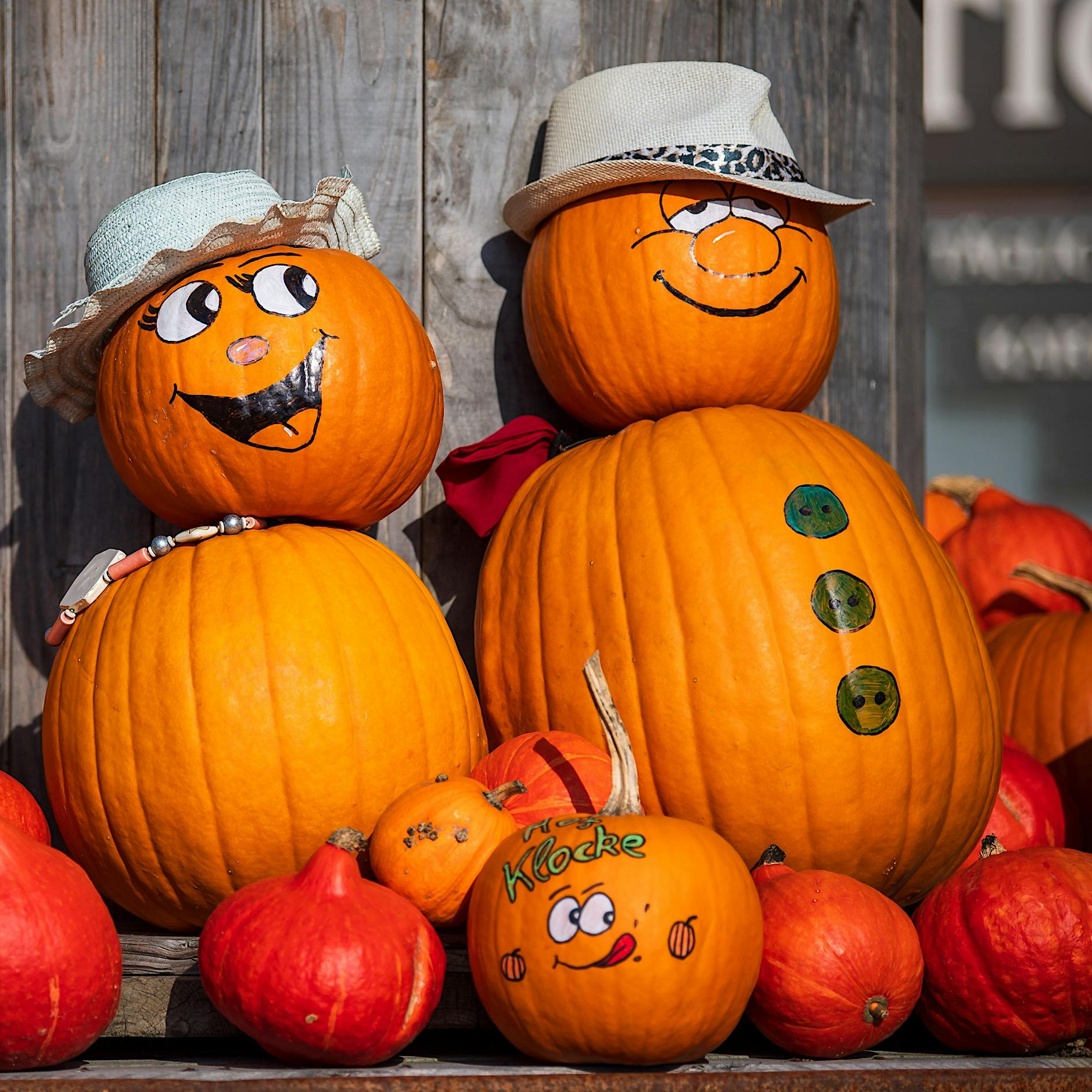 Bleibt mir weg mit eurer Kürbissuppe: Warum ich Kürbisse nicht mehr sehen kann