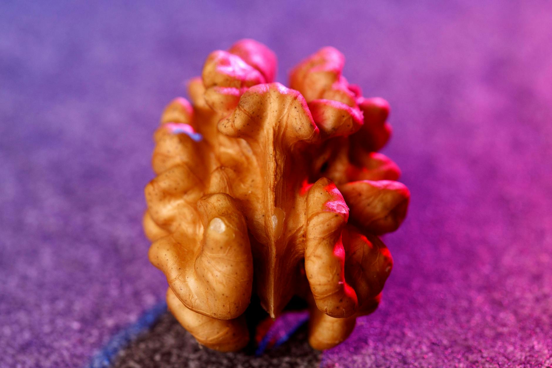 Walnüsse enthalten einen hohen Anteil an Omega-3-Fettsäuren.