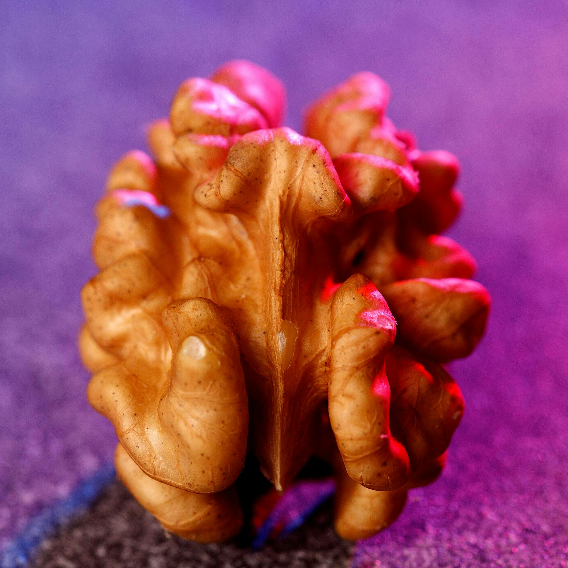 Neue Studie zum Langzeitgedächtnis: Diese Lebensmittel machen schlau