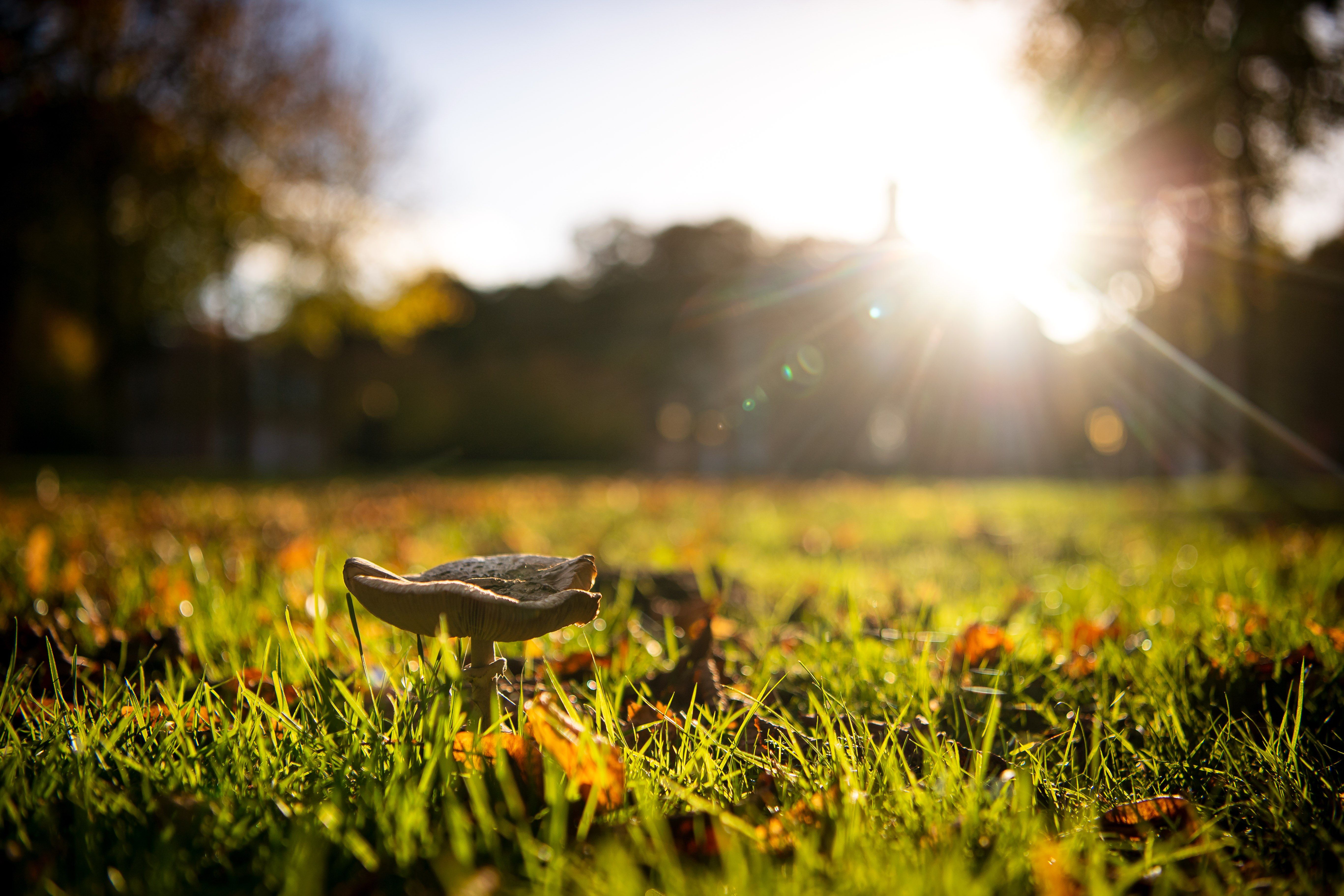 Image - Aktuelle Wetter-Prognosen versprechen Rekord-Oktober und einen Temperatur-Absturz: Warmluft, Warmluft, Warmluft und dann das abrupte Ende