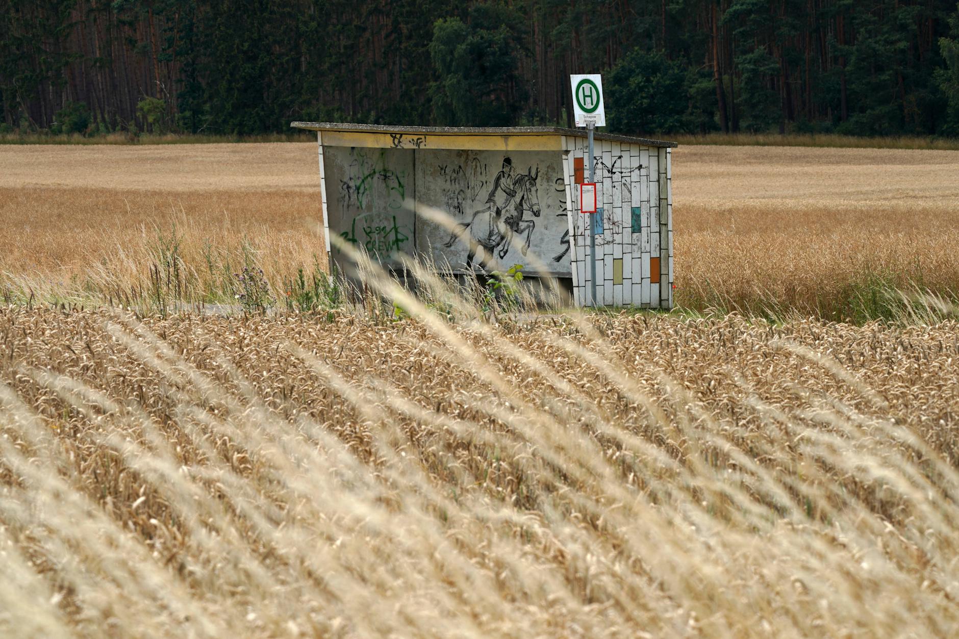 Eine Bushaltestelle in der Uckermark.