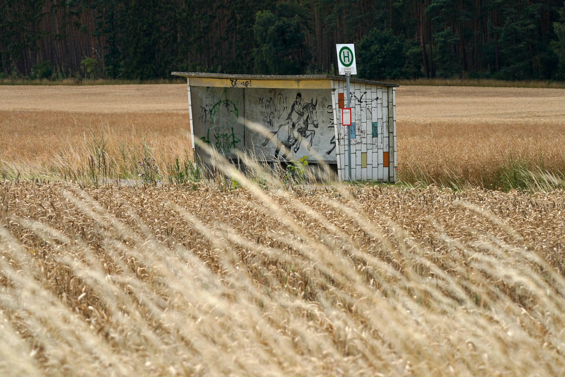 Eine Bushaltestelle in der Uckermark. 