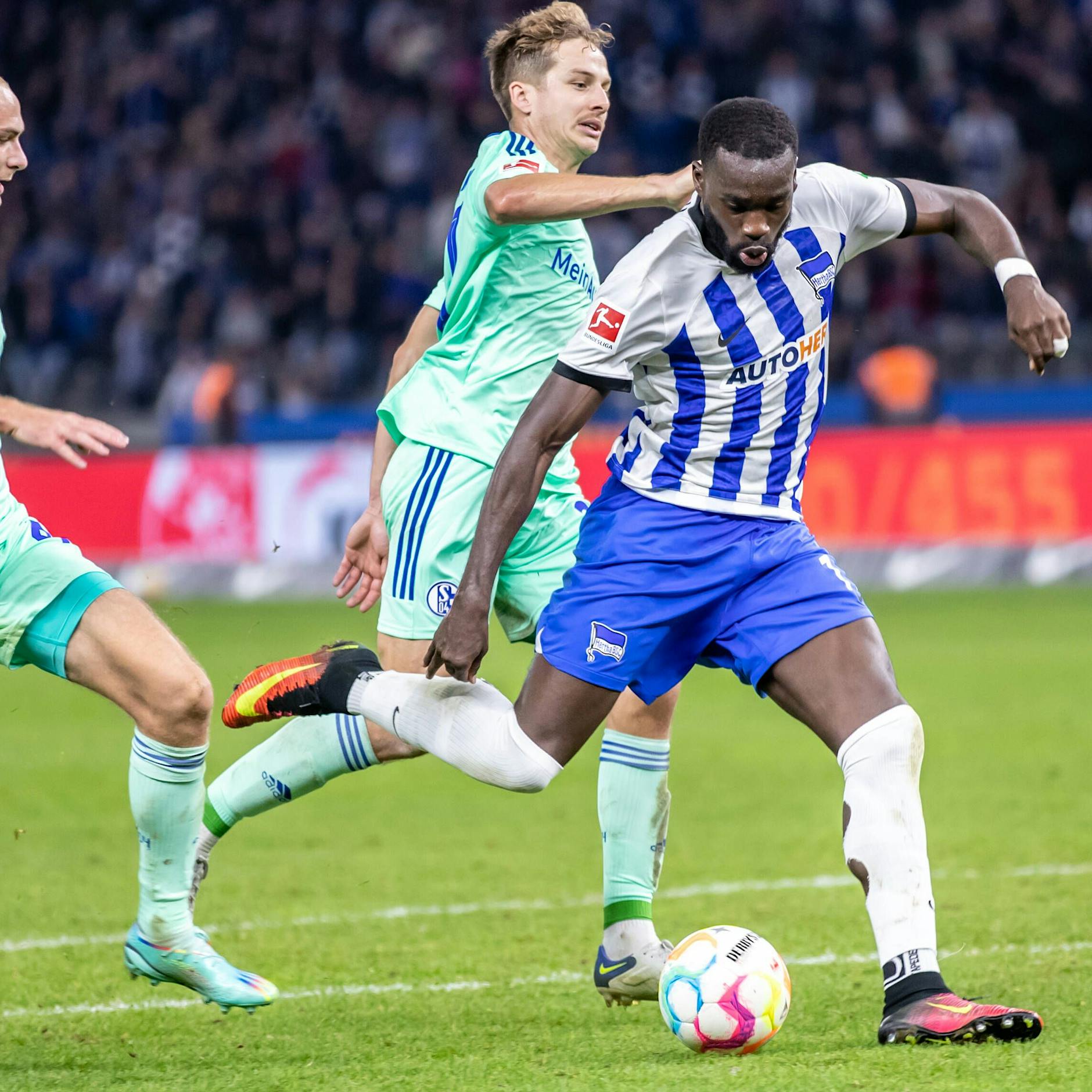 Erster Heimsieg, erstes Kanga-Tor! Hertha BSC schießt sich mit 2:1 gegen Schalke aus dem Keller