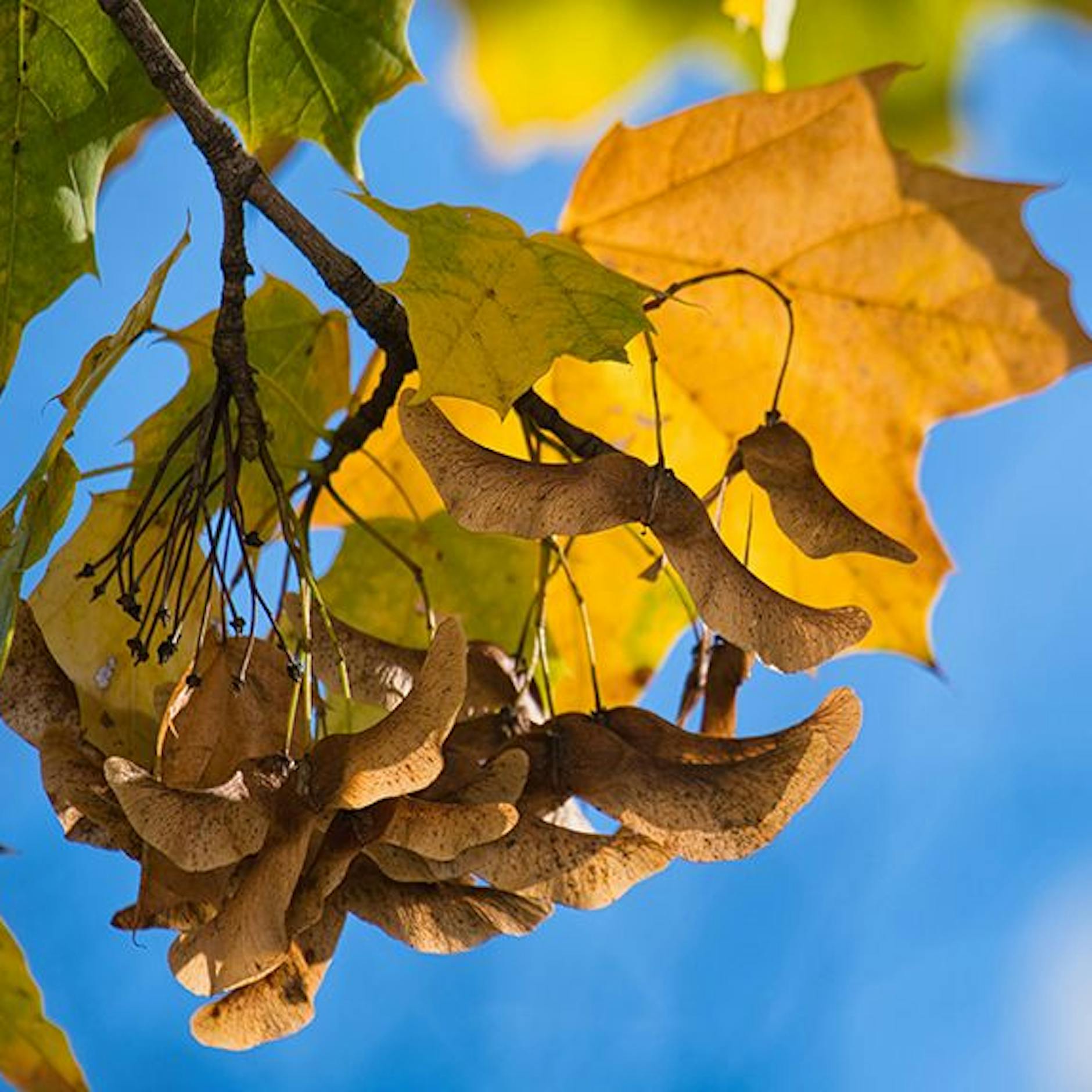 Jetzt dreht das Wetter völlig durch! Heftige Gewitter, Sahara-Staub und warme Temperaturen – ist denn schon wieder Sommer?