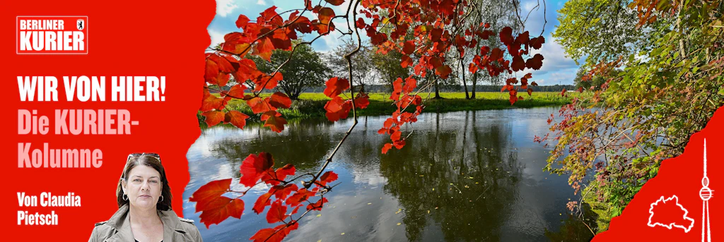 Adieu goldener Herbst: Warum der Abschied in diesem Jahr besonders ...