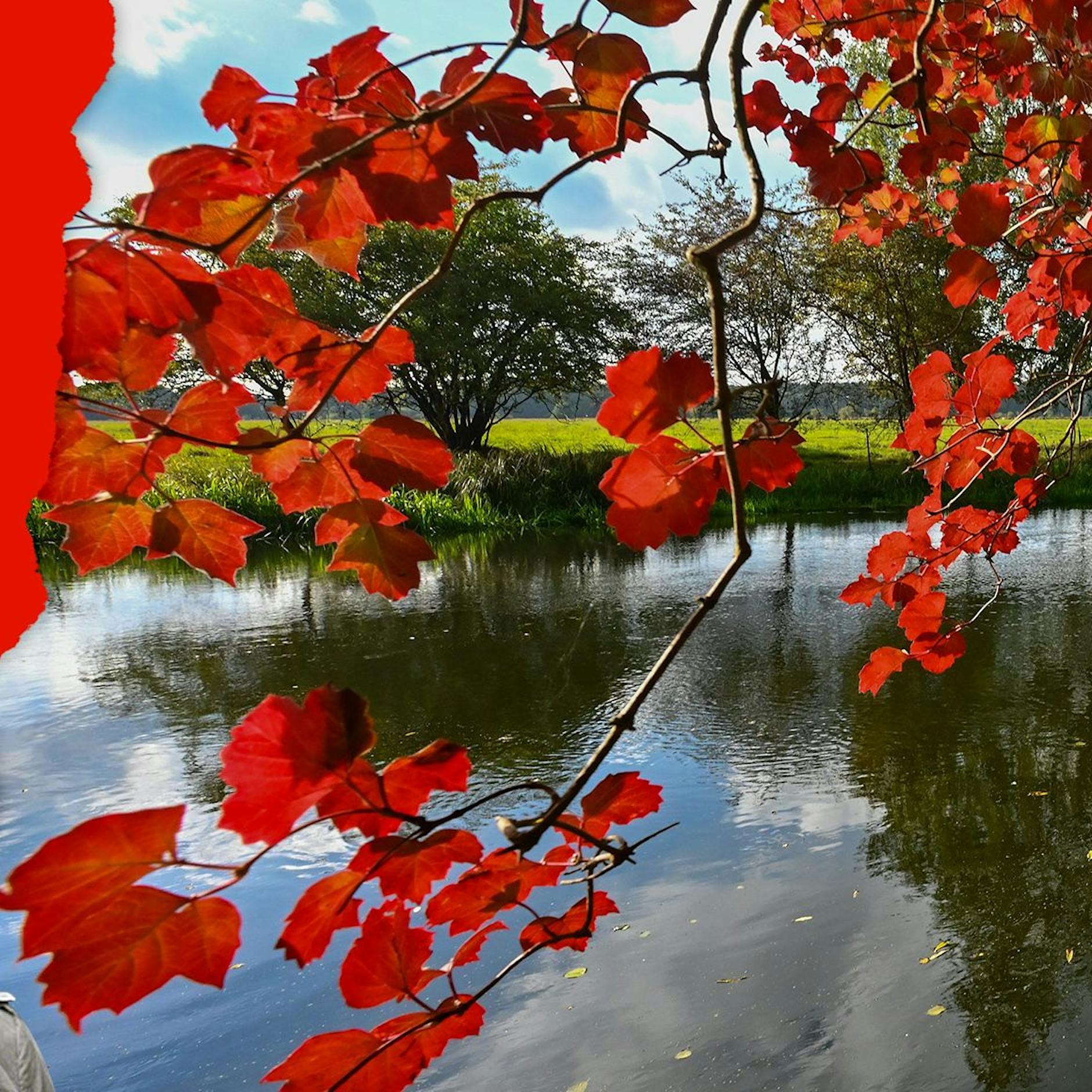 Adieu goldener Herbst: Warum der Abschied in diesem Jahr besonders schwerfällt