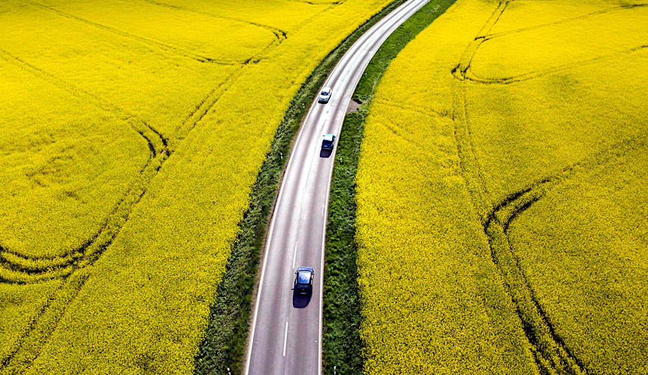 Strasse im Rapsfeld Nauen, Brandenburg.