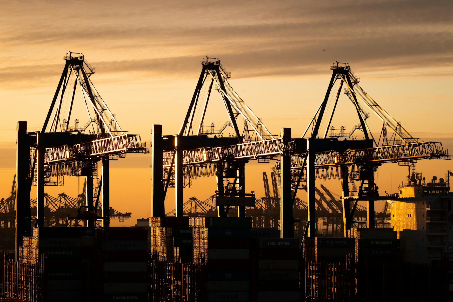 Ein Containerschiff der China Ocean Shipping Company (COSCO) wird am Containerterminal Tollerort der Hamburger Hafen und Logistik AG (HHLA) entladen. Offenbar darf sich Cosco nun doch an einem Container-Terminal in Hamburg beteiligen. 