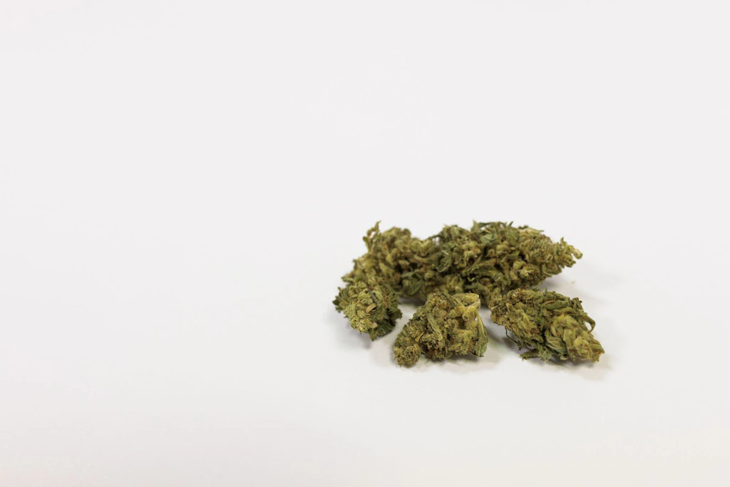 Anklage gegen Familie - Marihuana in Millionenwert versendet