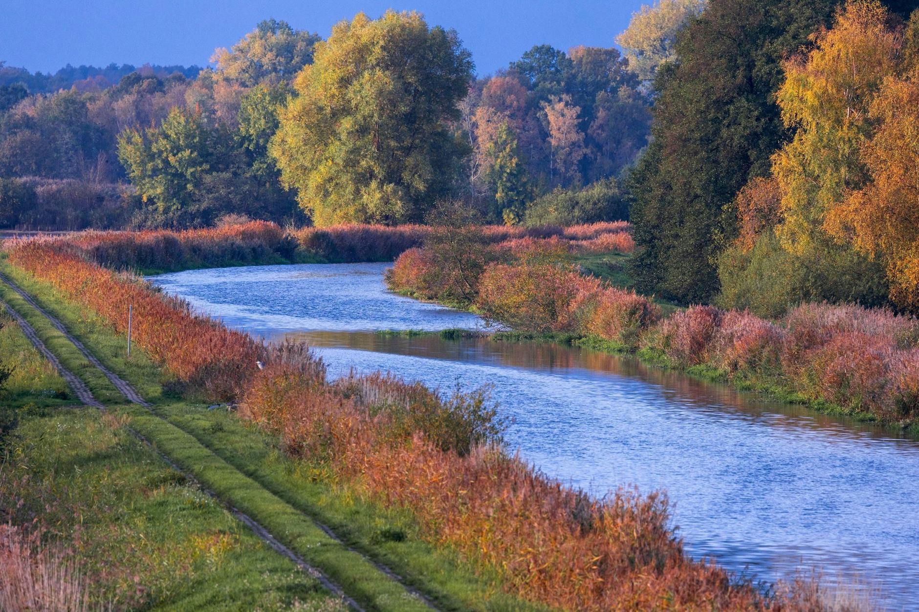 Die Elde im Naturschutzgebiet Lewitz fließt durch herbstlich gefärbtes Laub. Das etwa 16.800 Hektar große Gebiet erstreckt sich im Südwesten Mecklenburgs südlich von Schwerin und wird vom Fluss Elde, künstlichen Kanälen und zahlreichen Seen geprägt.
