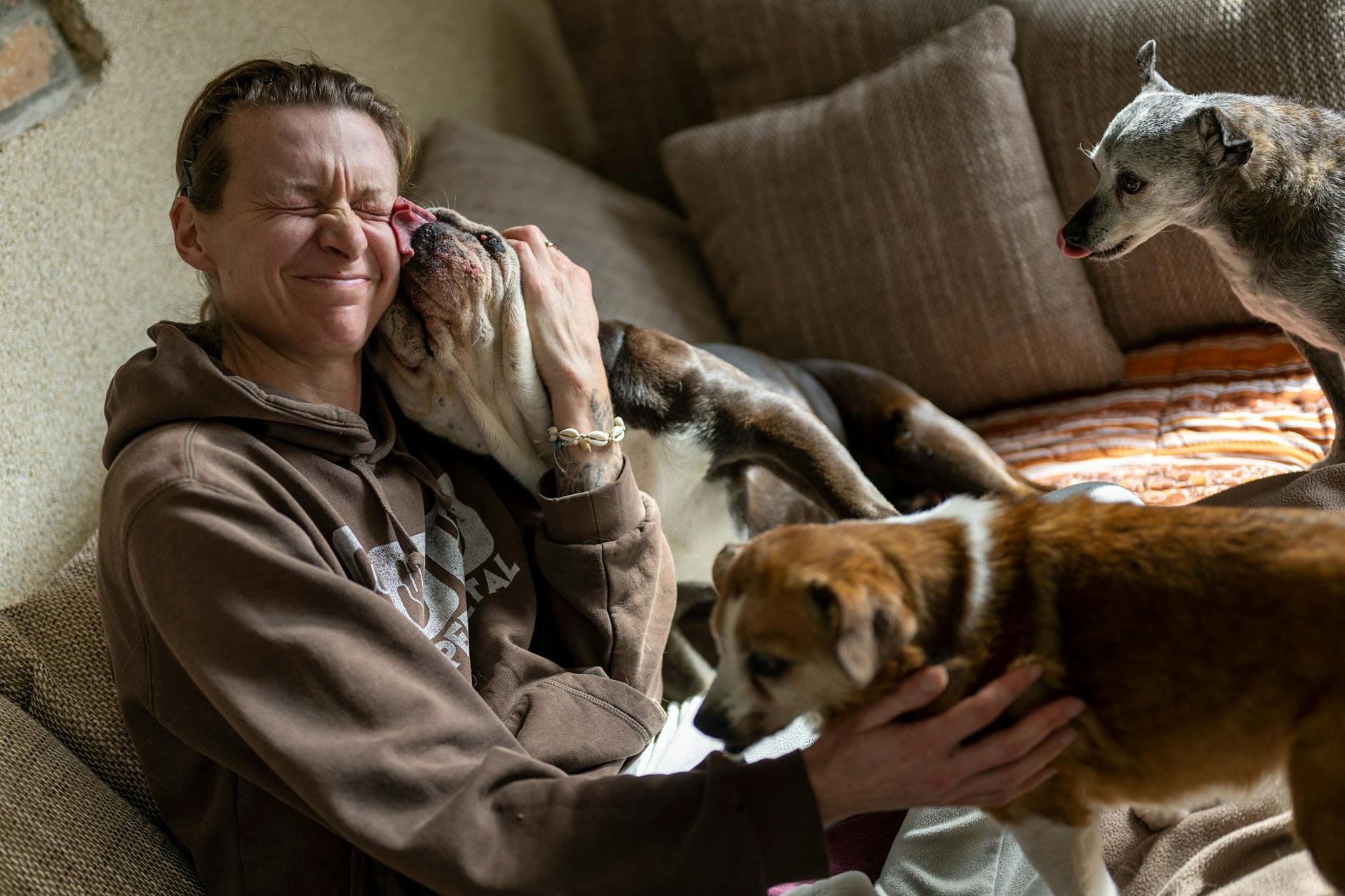 Stephanie Badura sitzt auf dem Sofa in ihrem Wohnzimmer und kuschelt mit ihren Pflegehunden.