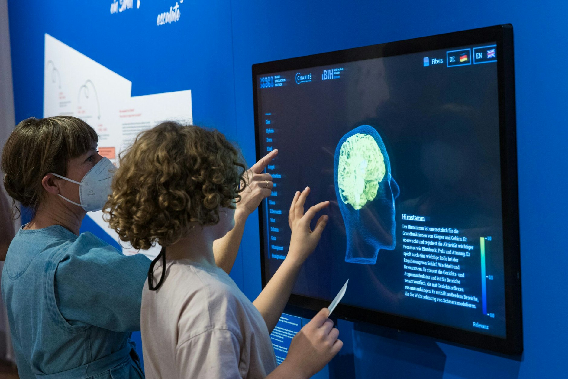 Was passiert beim Streiten im Gehirn? Das zeigt ein interaktiver Bildschirm.