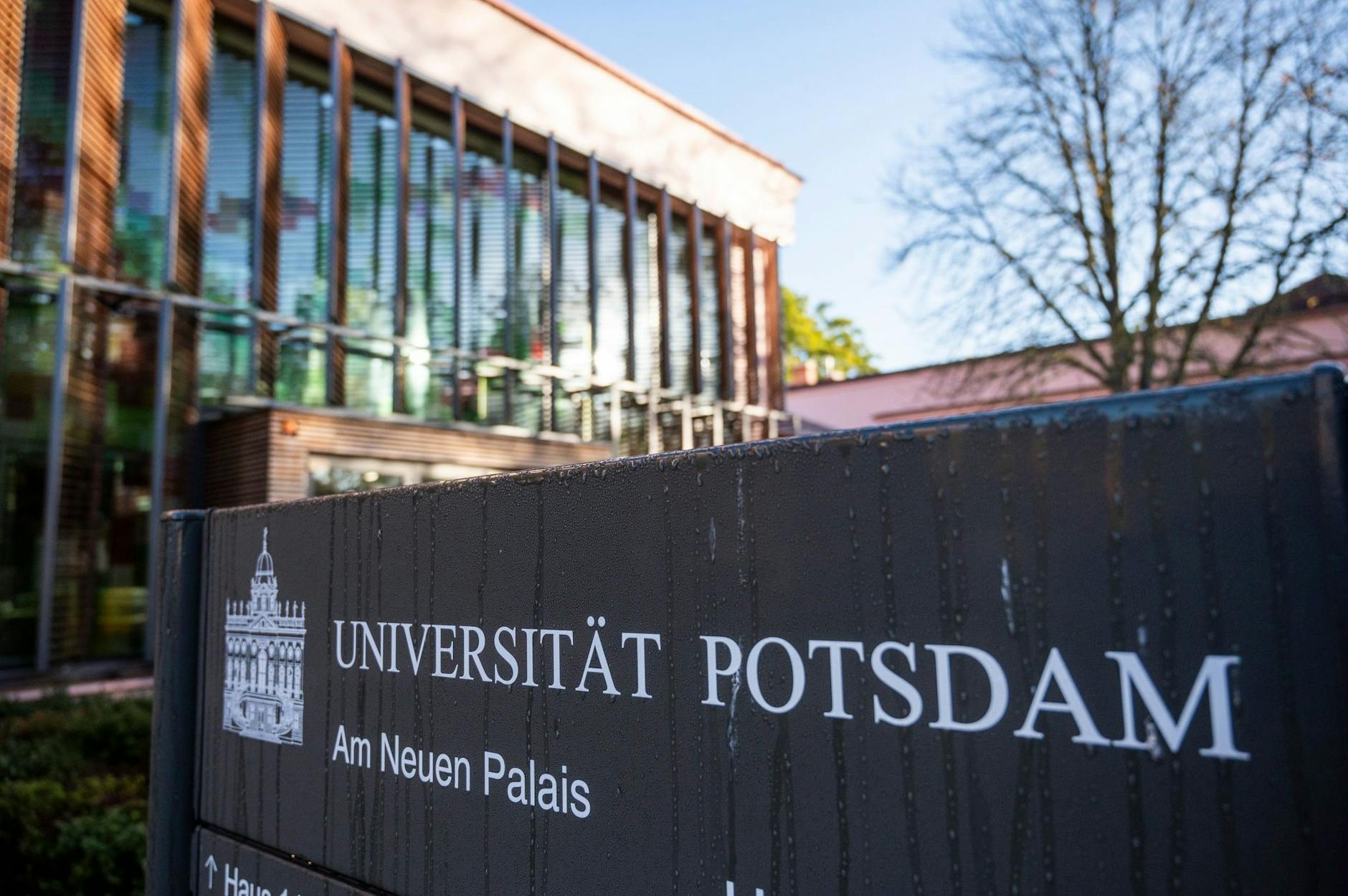 Eine fünfköpfige Untersuchungskommission der Uni Potsdam hat die Vorwürfe gegen Walter Homolka untersucht: Einige bestätigten sich demnach - nicht aber die Anschuldigung, Homolka habe sexualisierte Belästigung geduldet.