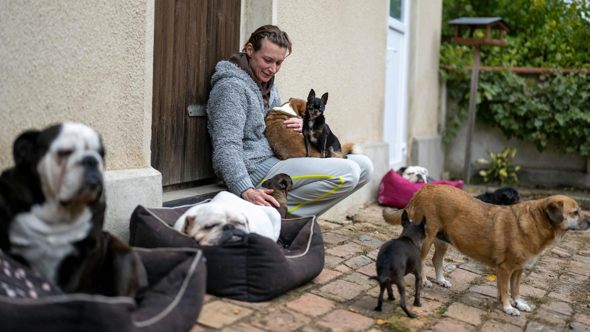 Stephanie Badura sitzt vor ihrem Haus und streichelt ihre Pflegehunde.