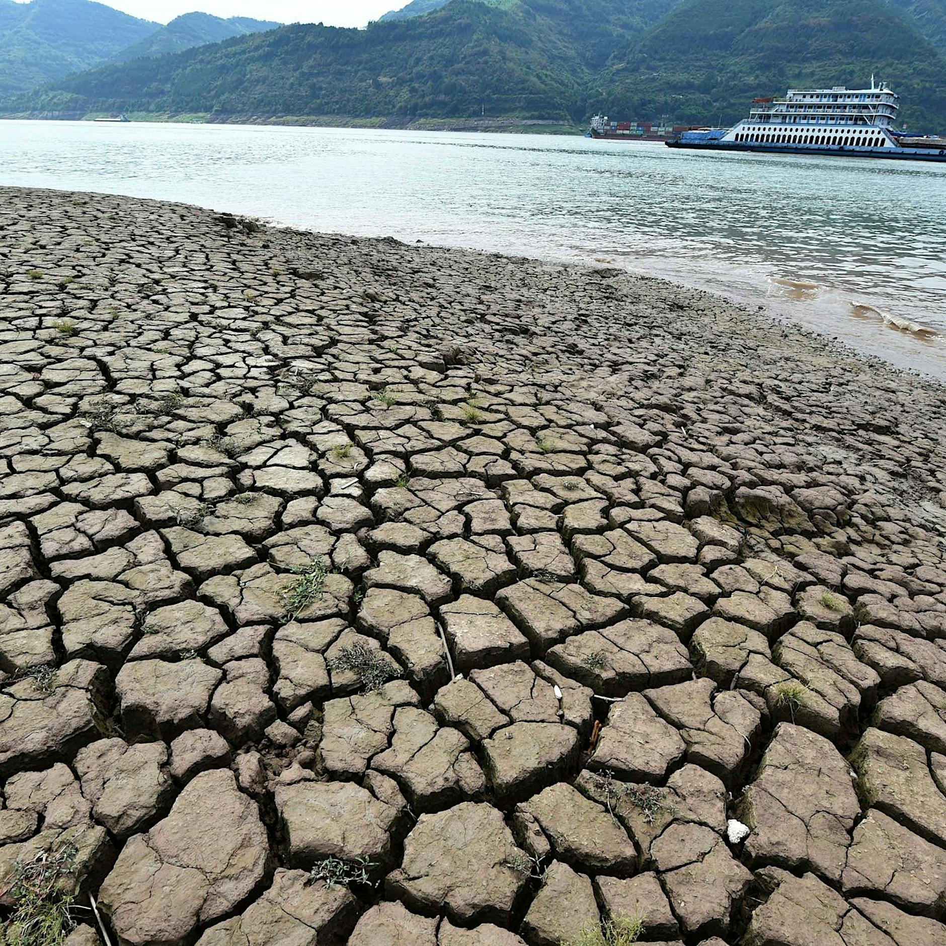 Wissenschaftler: „Welt eindeutig im Klima-Notfall“