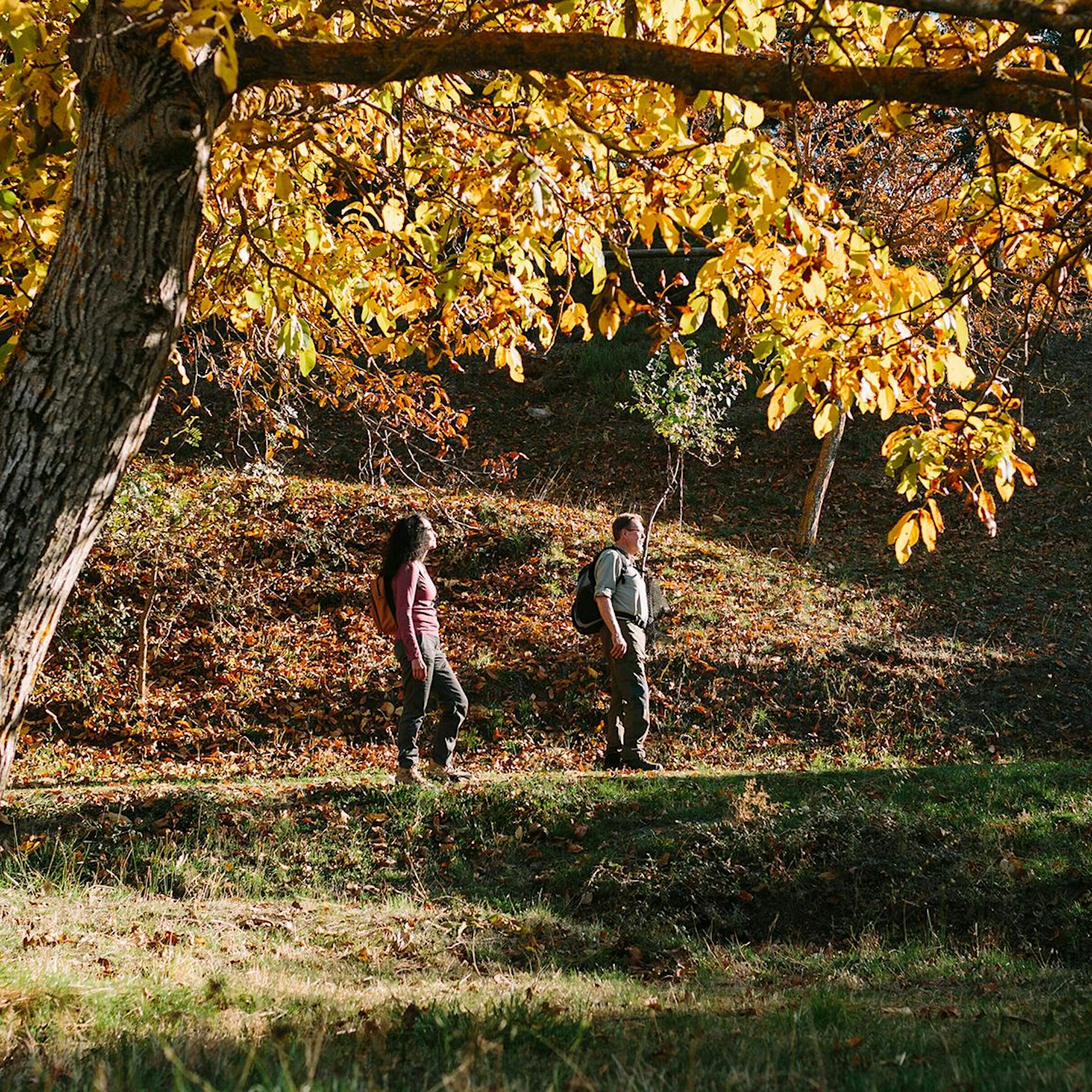 Mir schwirrt die Birne. Alles zu viel, alles zu schnell: Wie man sich in all dem Chaos wieder findet.