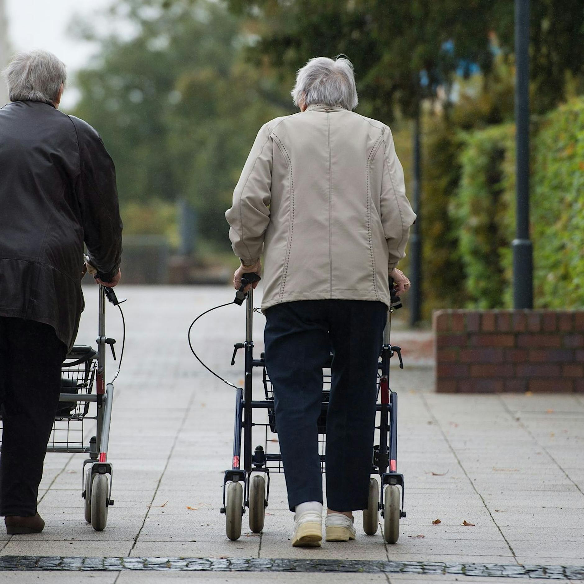 Arbeitgeberpräsident sieht Rentensystem vor Zusammenbruch