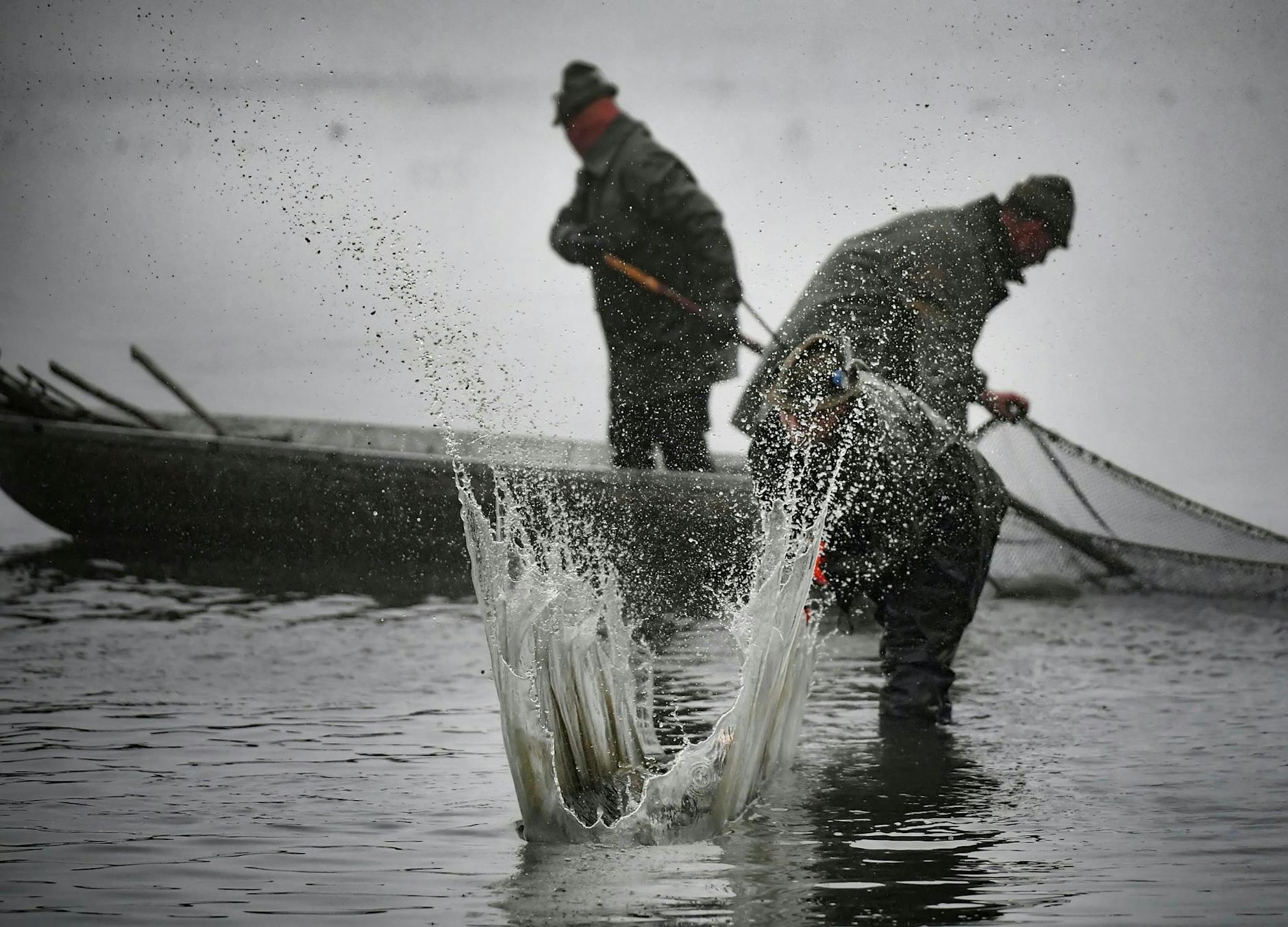 Zwei Fischer nehmen am Abfischen des Teiches Tipnice teil, das den traditionellen Höhepunkt der Fischereisaison in der Region Jihlava in Tschechien darstellt.