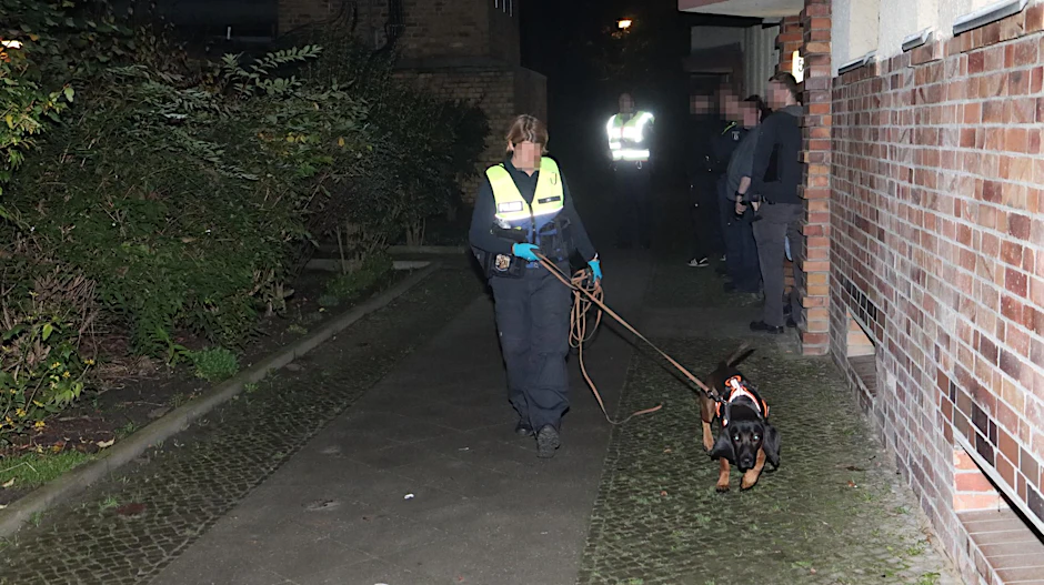 Mantrailer der Polizei nimmt eine Fährte auf.
