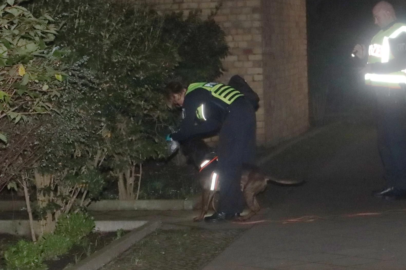 Dem Hund wird eine Tüte mit dem vermeintlichen Geruch des mutmaßlichen Täters über die Nase gehalten.