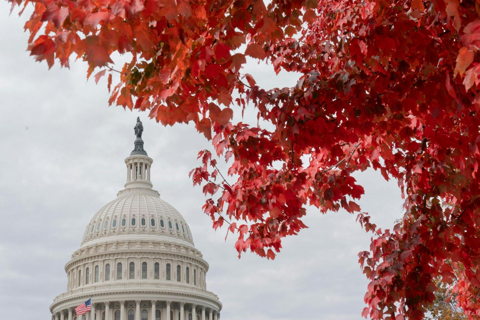 Rotes Herbstlaub umrahmt das US-Kapitol auf dem Capitol Hill in Washington.