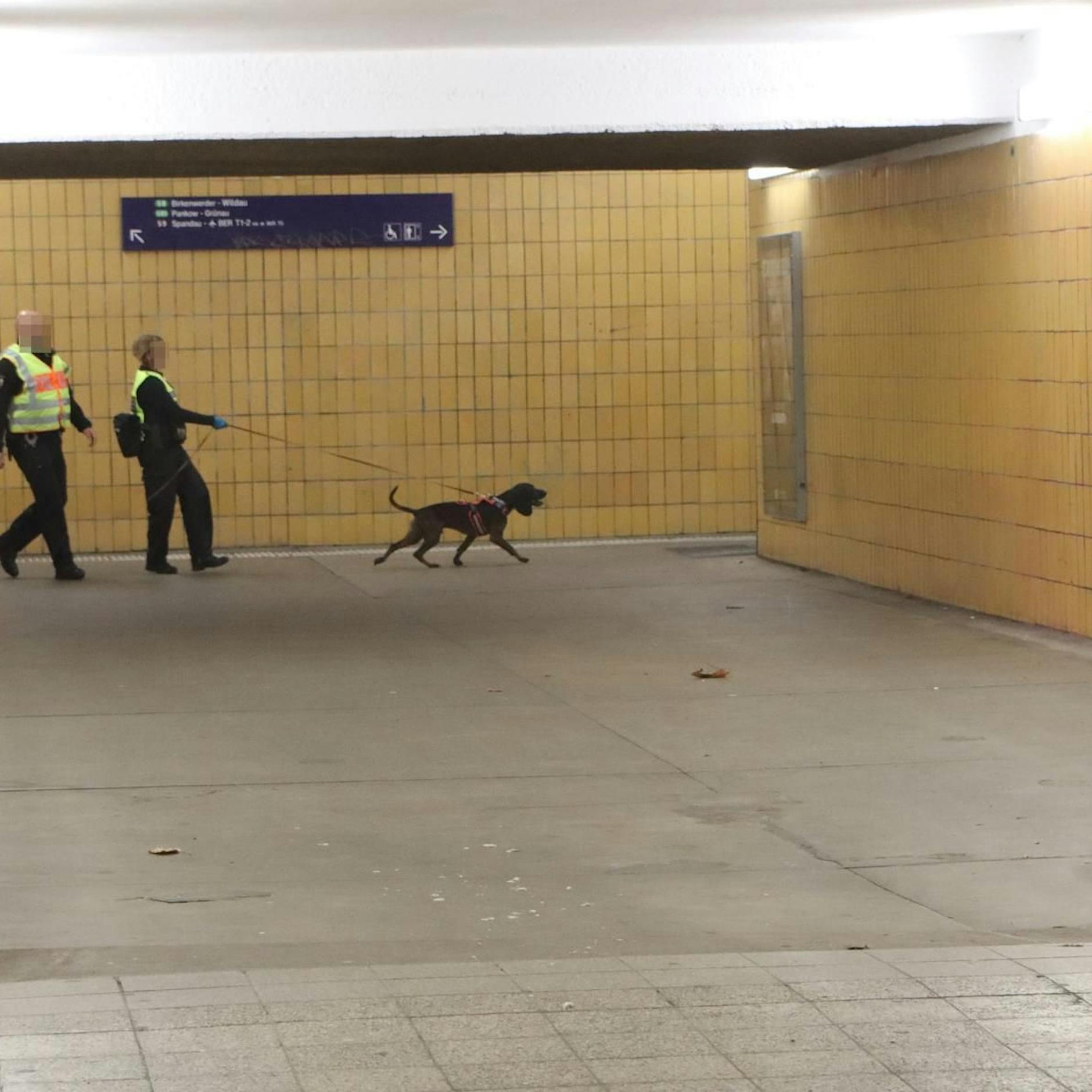 Blutige Messerstecherei in Treptow: Täter entkam vermutlich mit der S-Bahn, wurde nicht gefasst!