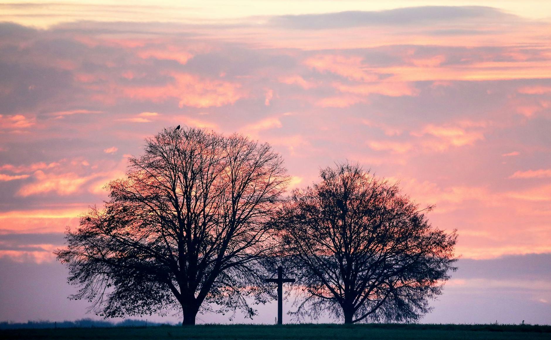 Hinter Bäumen und einem Wegkreuz hat sich am Morgen der Himmel im baden-württembergischen Riedlingen kurz vor Sonnenaufgang rötlich gefärbt. Noch immer liegt Saharastaub in der Luft.