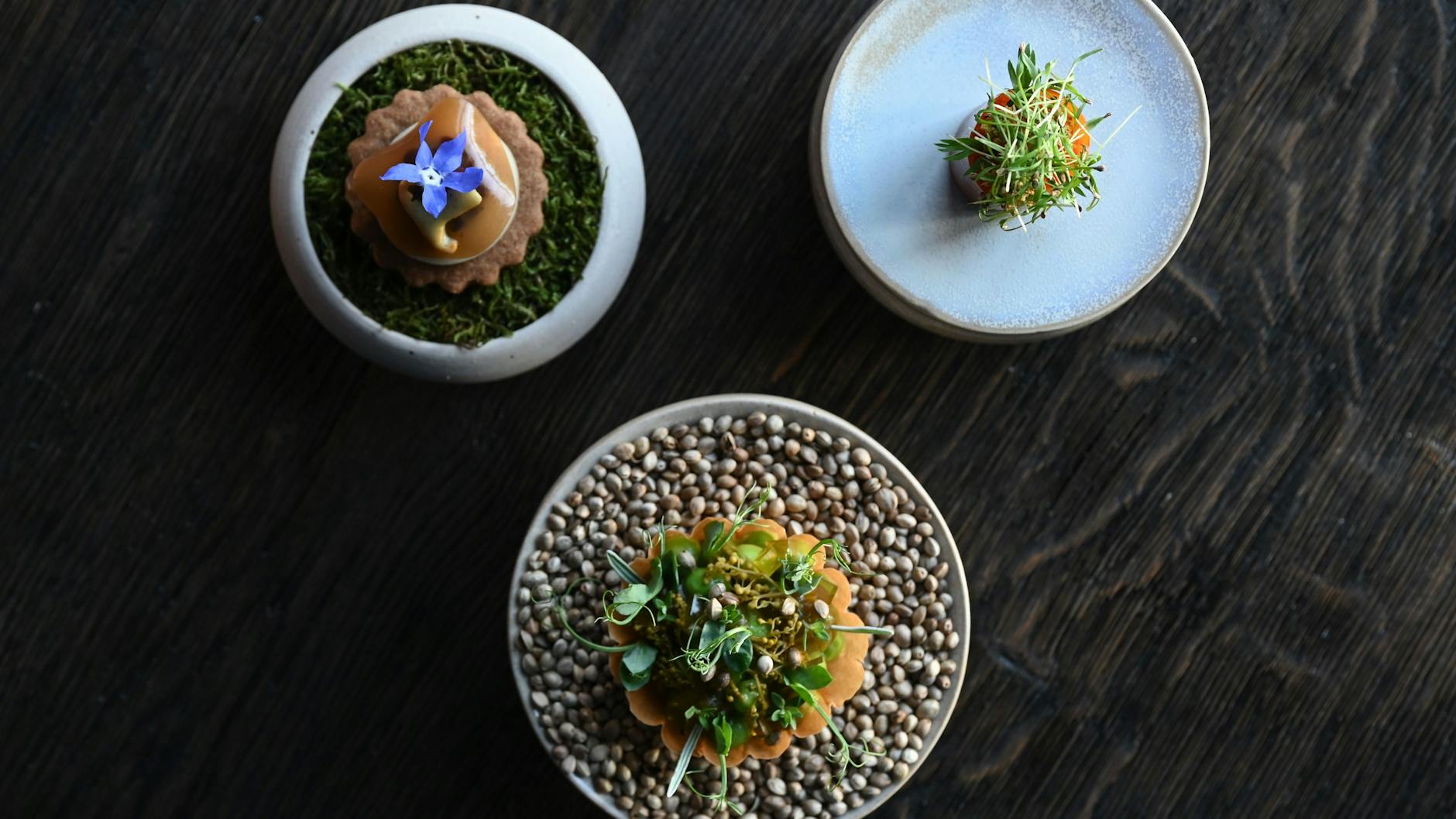 Drei kleine Appetit-Anreger aus der veganen Küche von Ricky Saward.