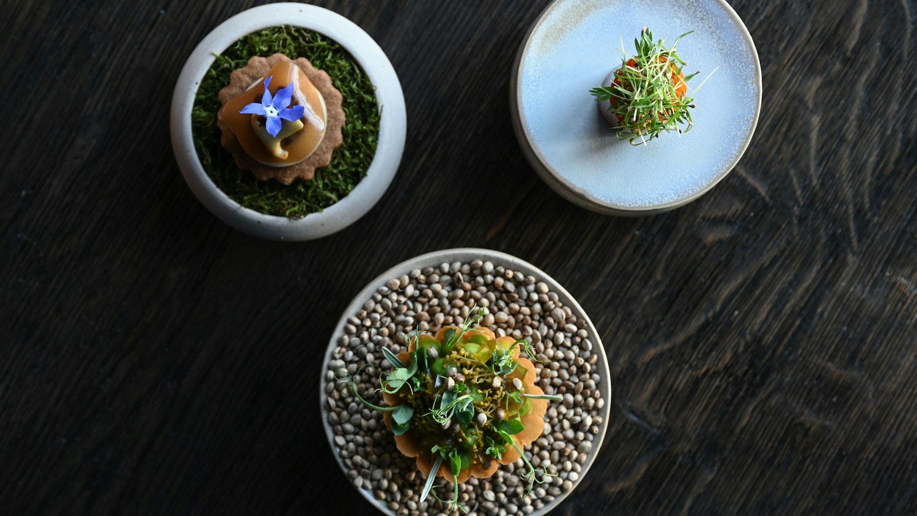 Drei kleine Appetit-Anreger aus der veganen Küche von Ricky Saward.