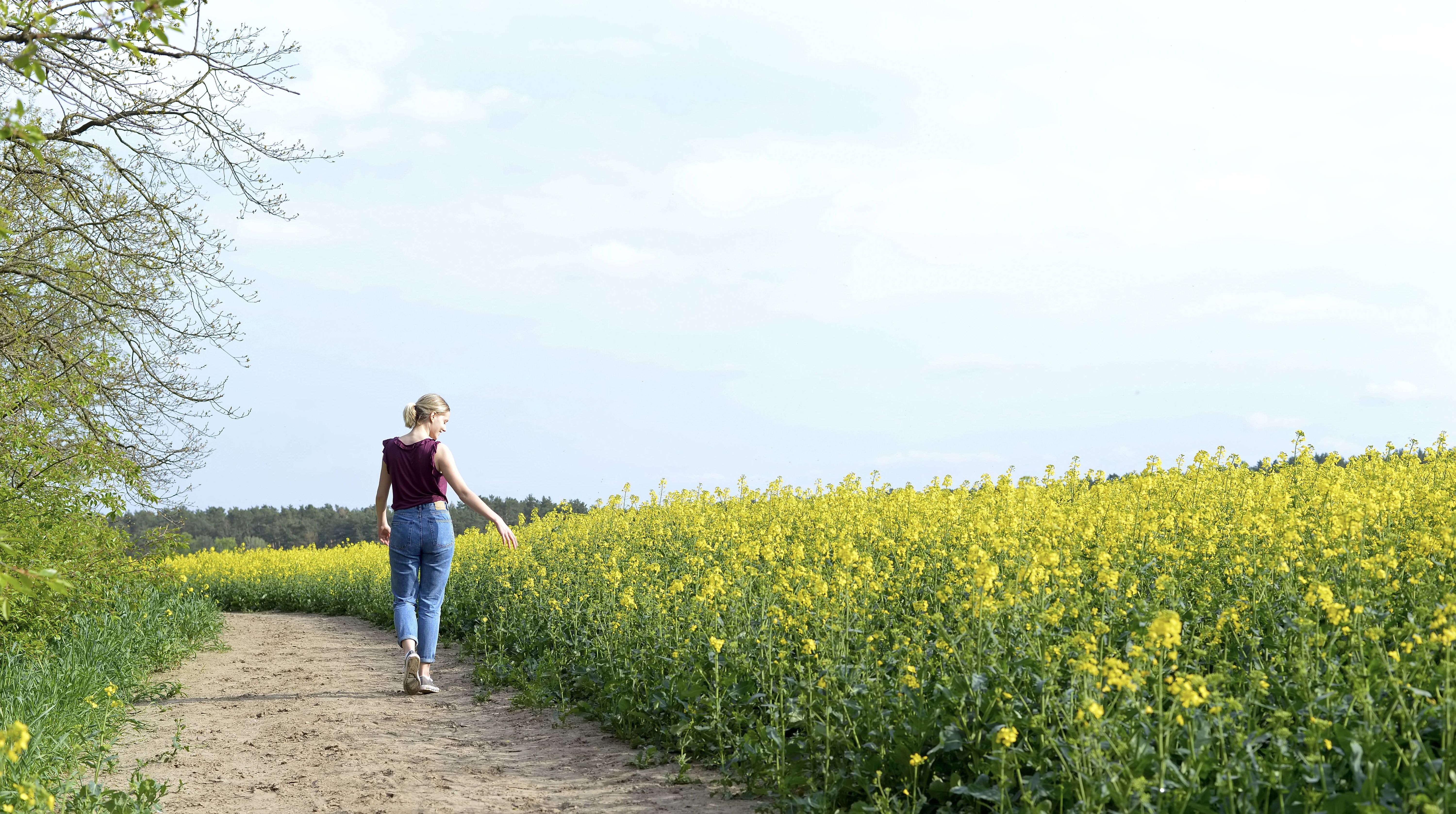 Image - Horoskop für heute: Dienstag, der 1. November 2022! Das bringt der Tag – laut Ihrem Sternzeichen