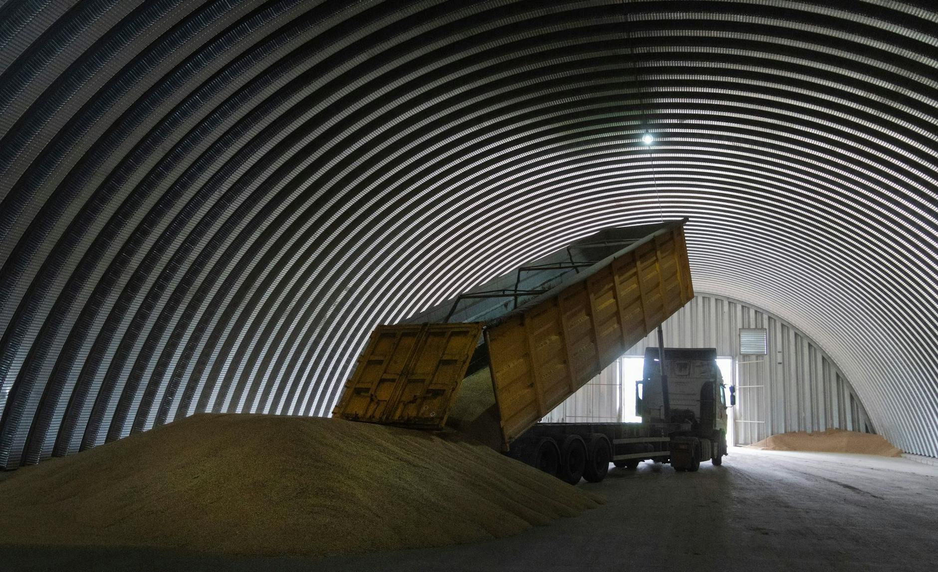 ARCHIV - Ein LKW entlädt Getreide in einem Getreidespeicher in dem Dorf.