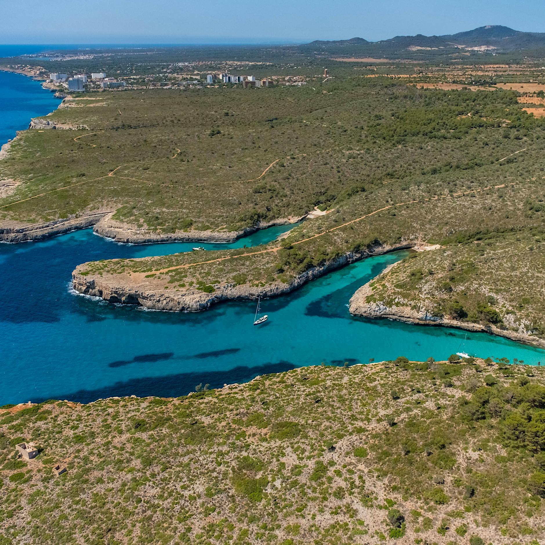 Mallorca: Vermisster Taucher vor Erstickungstod gerettet