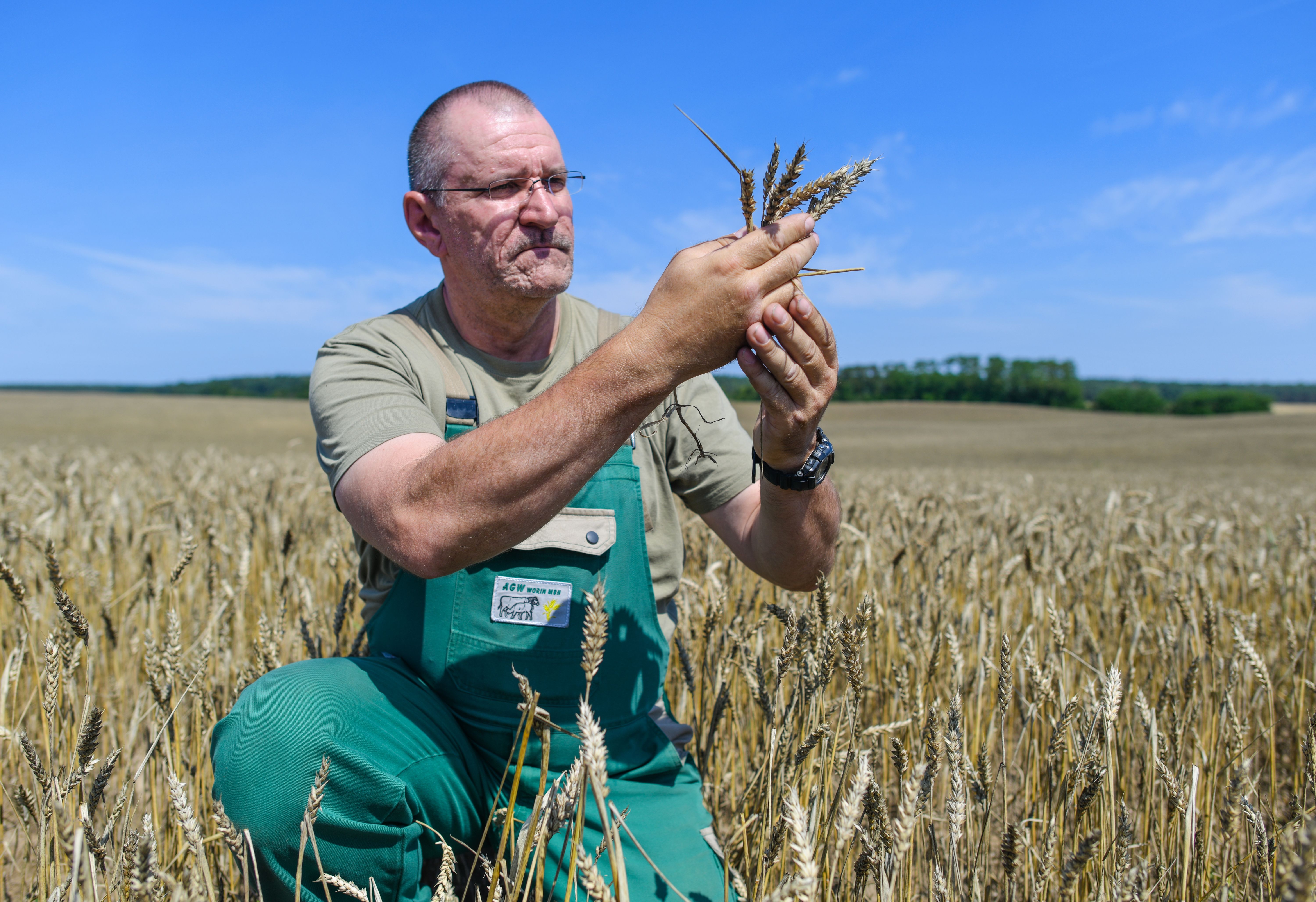 Landwirt schlägt Alarm: Deutschland isoliert sich in der EU