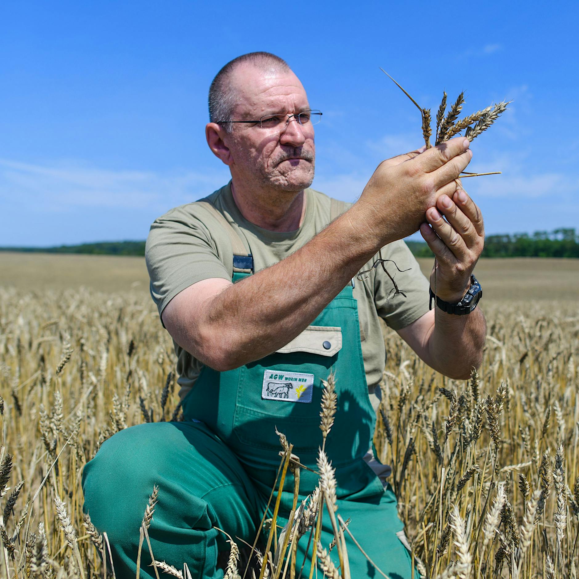 Landwirt schlägt Alarm: Deutschland isoliert sich in der EU