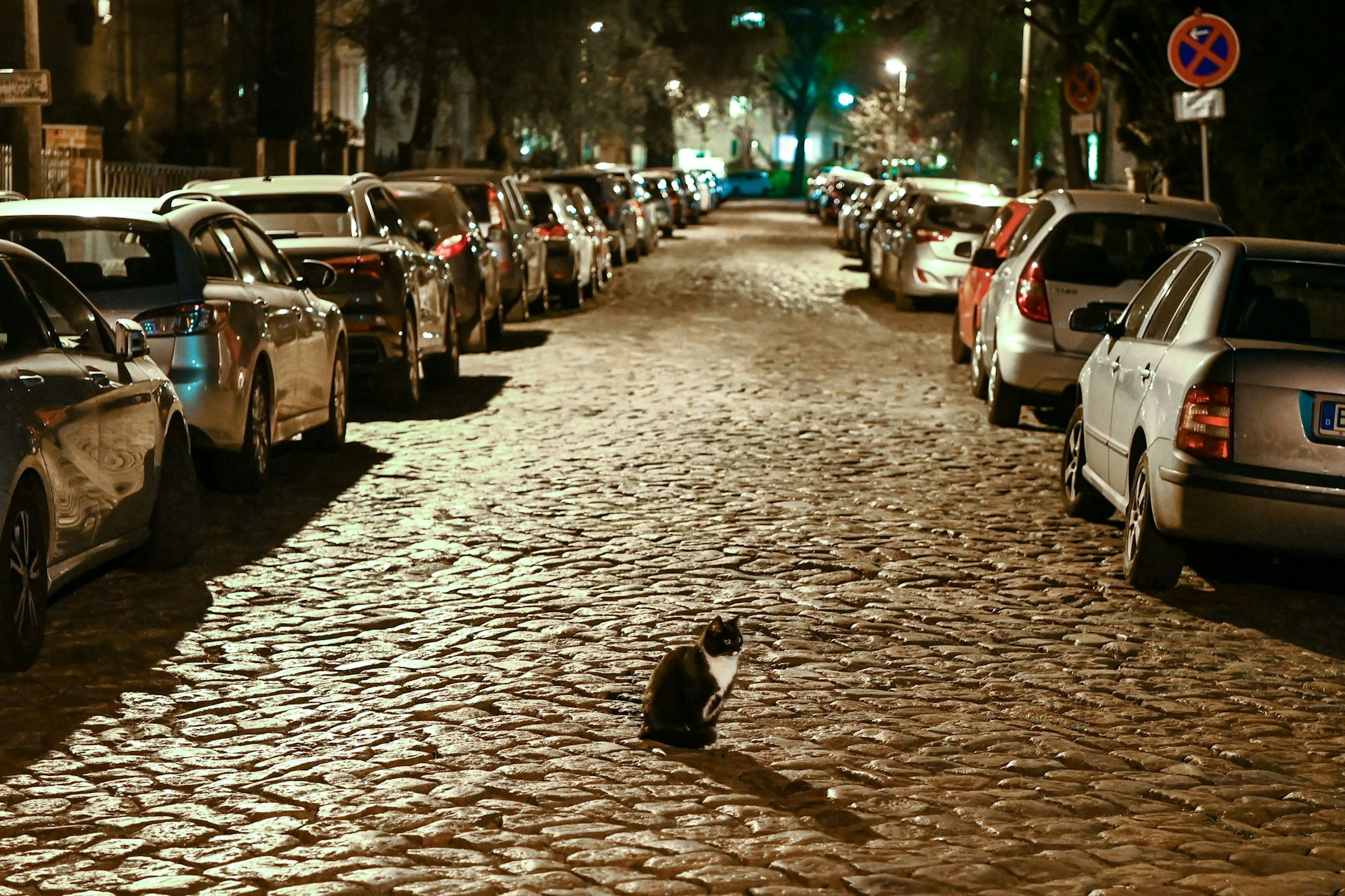 Parkende Autos in einer Straße in Karlshorst. So sehen die meisten Straßen in Berlin aus.