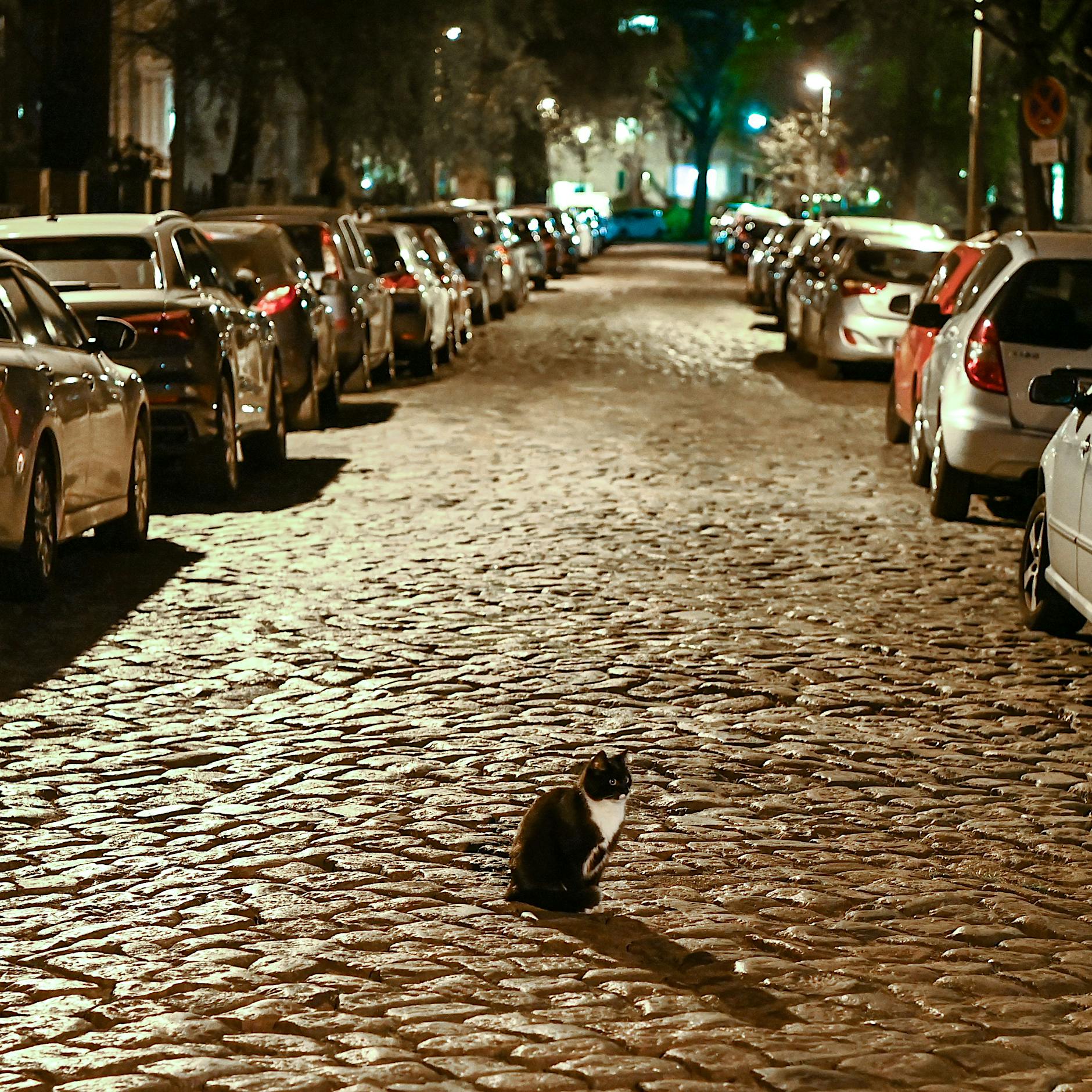 Grüne und Linke wollen weniger Parkplätze in Berlin: „Es wird wehtun“
