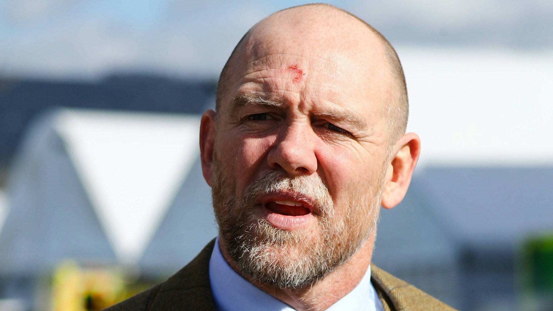 Schräger Gastauftritt: Mike Tindall.&nbsp;