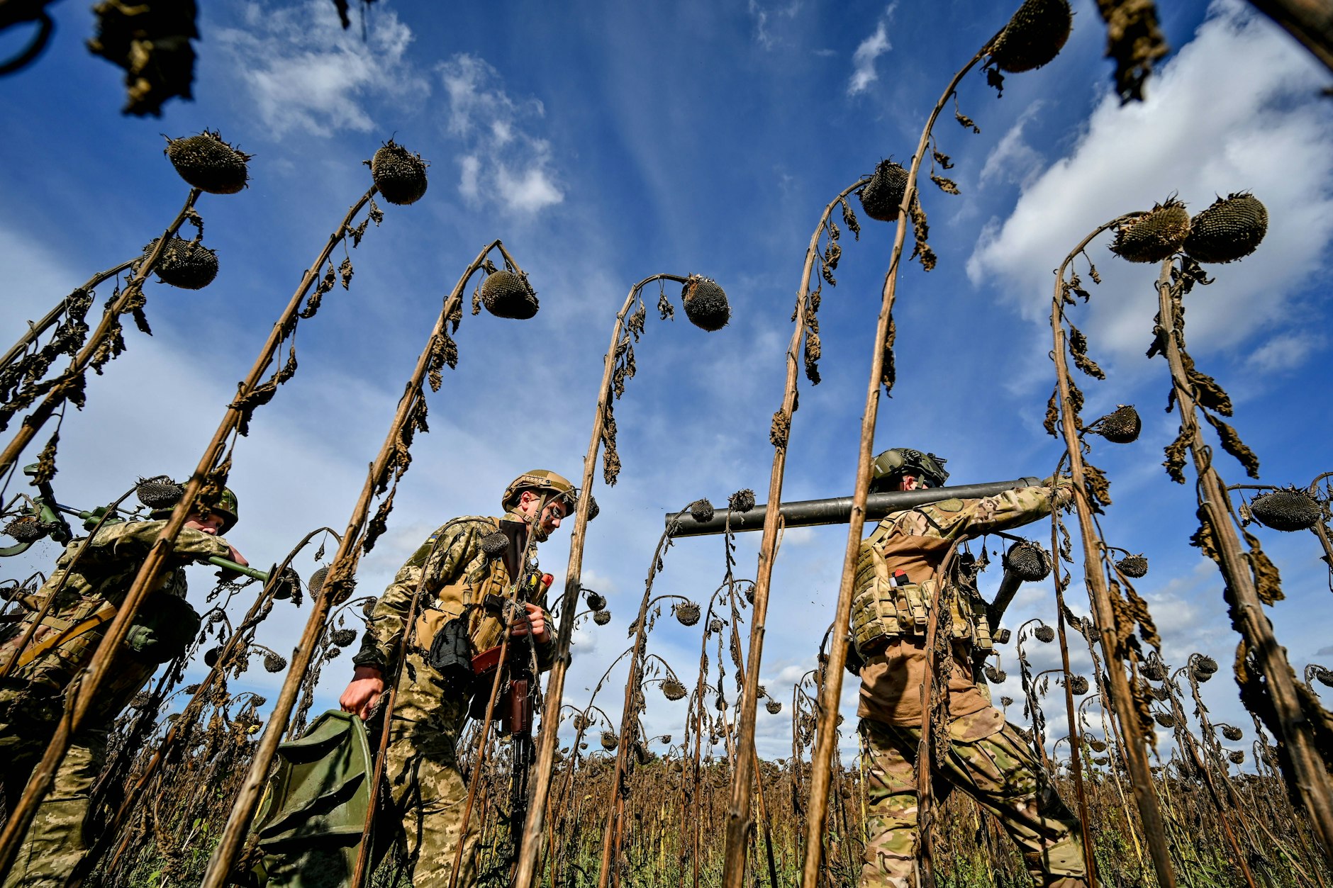 Region Saporischschja, Südostukraine, Mai 2022: Soldaten einer militärischen Mörsergruppe schauen sich am Rande eines trockenen Sonnenblumenfeldes um.