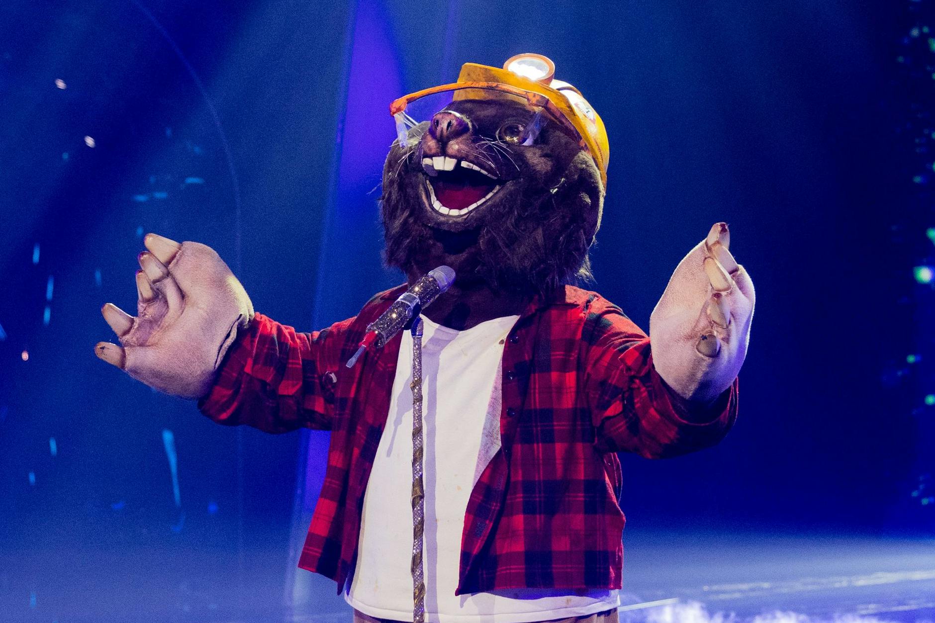Der Maulwurf bei The Masked Singer: Welcher Promi steckt wohl unter dem Kostüm?