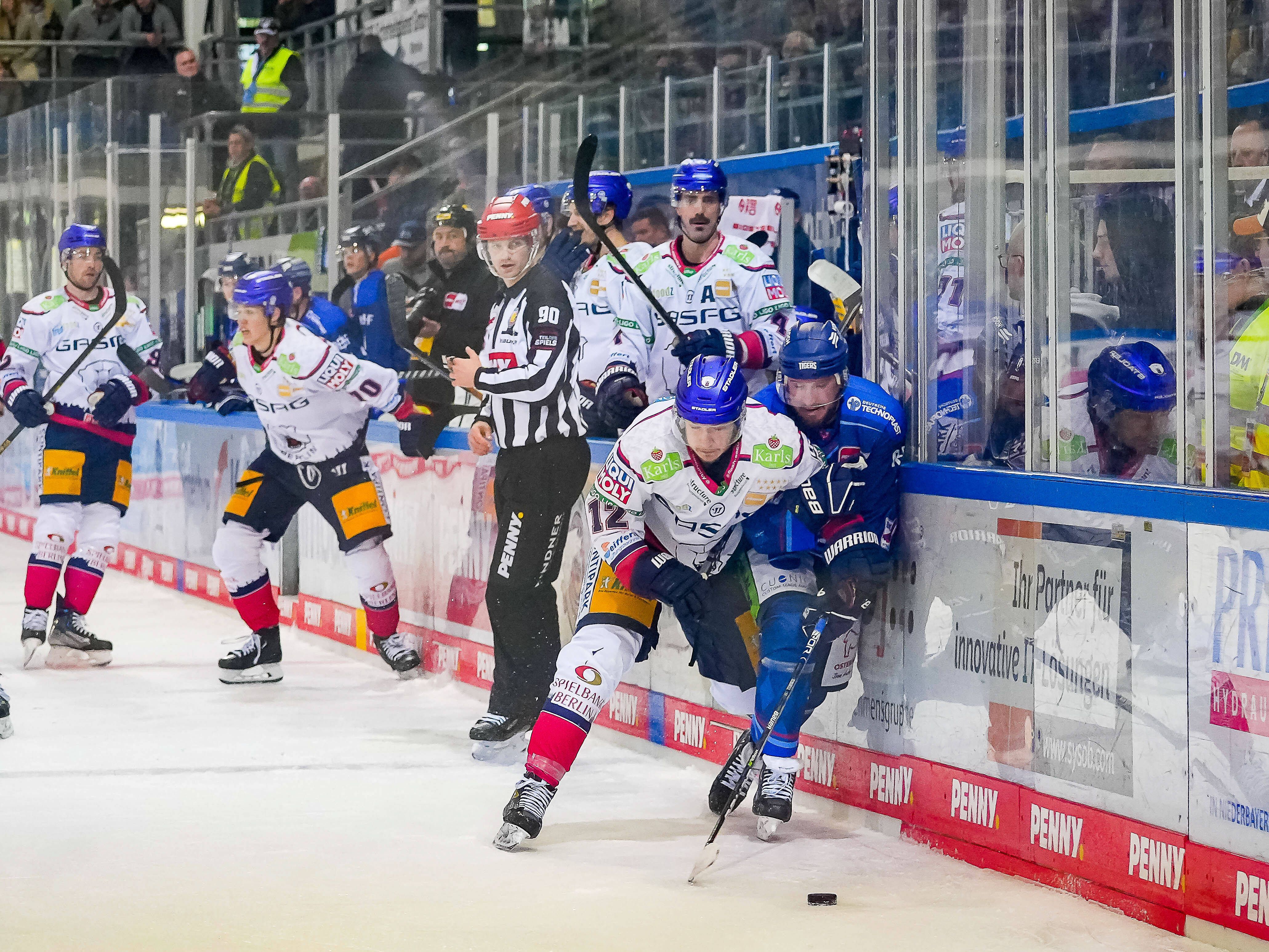 Image - Für den erfolgreichen Neustart: Eisbären Berlin dimmen sich runter