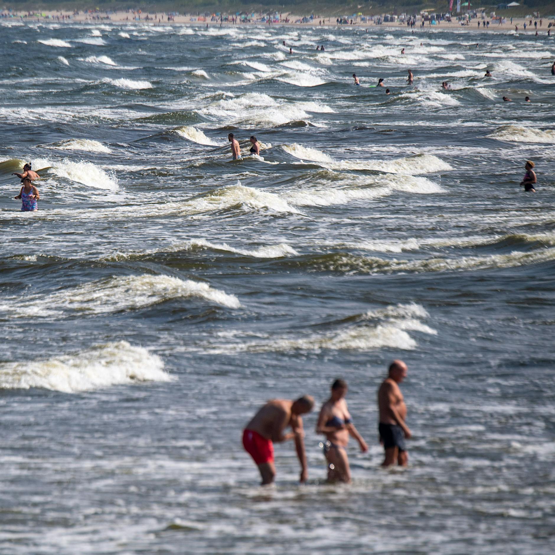 Klimawandel: Sommer 2022 erwärmt Nord- und Ostsee um bis zu 1,5 Grad