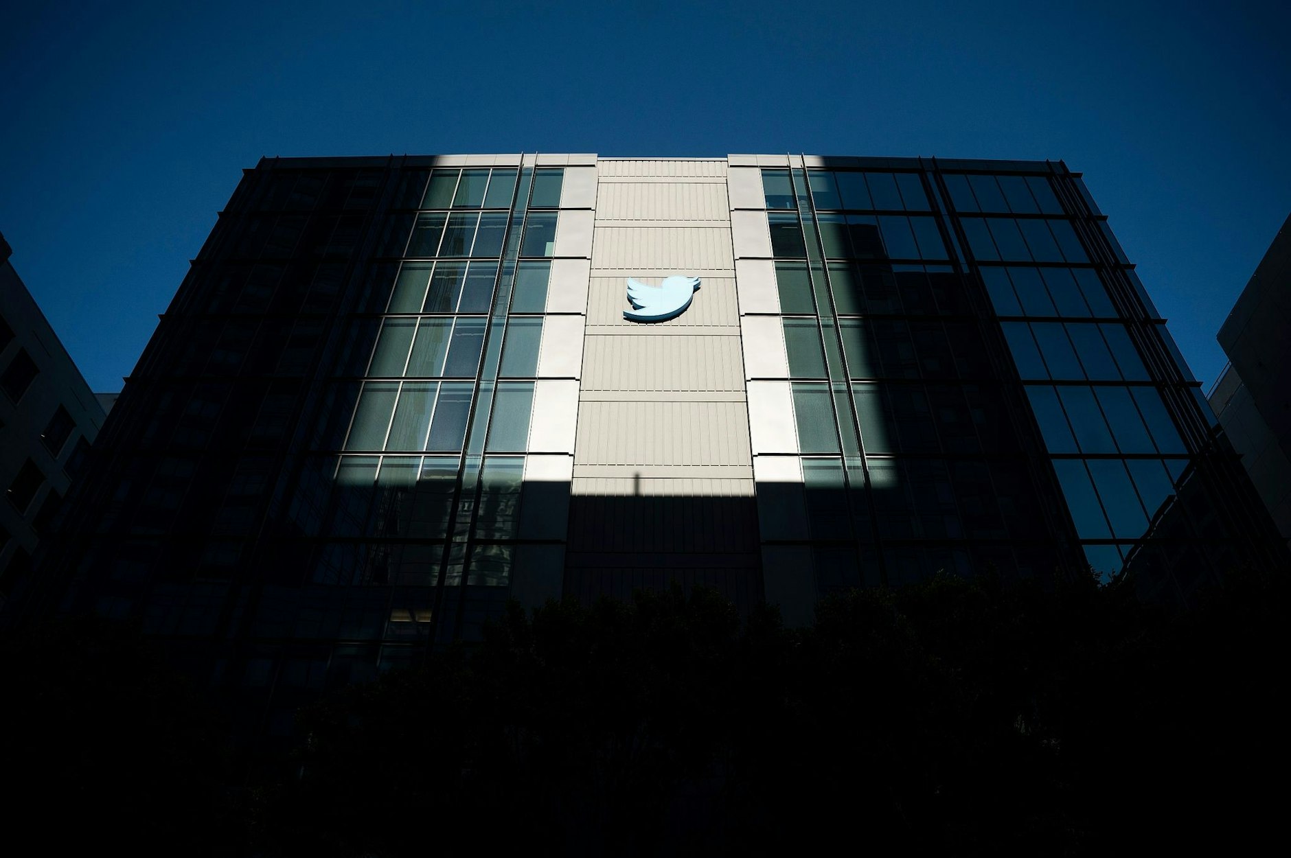 Twitter-Chef Elon Musk will zahlende Kunden mit Vorteilen locken.  