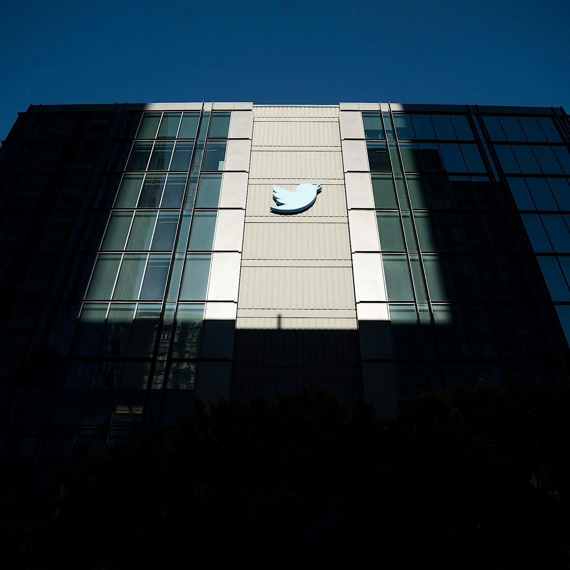 Elon Musk: Twitter-Häkchen nur noch mit 8-Dollar-Abo