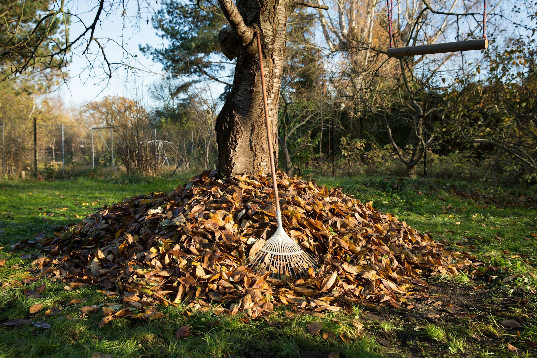 Ab auf den Kompost! Das mühsam zusammengeharkte Herbstlaub wird so zu neuer Erde oder wertvollem Dünger. Außerdem bietet ein Laubhaufen vielen Lebewesen Schutz im Winter.&nbsp;