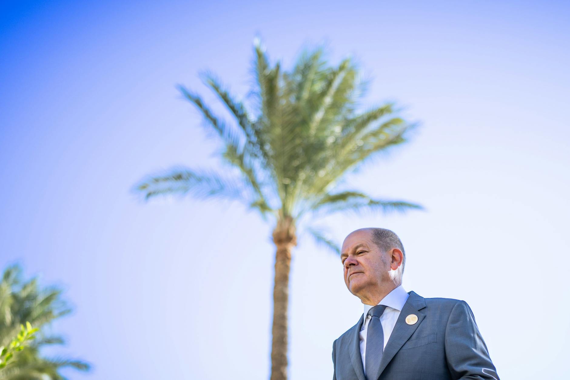Kanzler Olaf Scholz (SPD) unter Palmen: Er nimmt an der Welt-Klimakonferenz in Scharm El-Scheich teil
